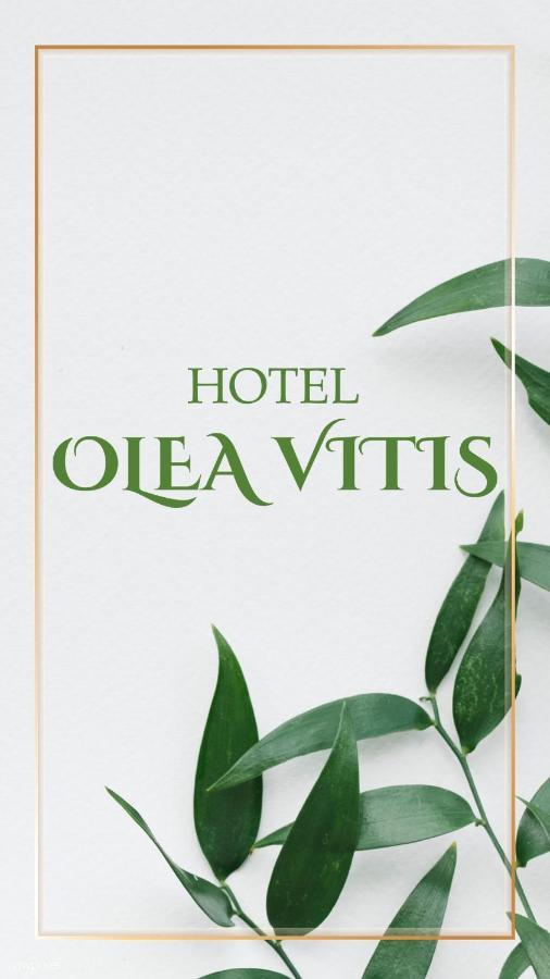 Olea Vitis Hotel Međugorje Buitenkant foto
